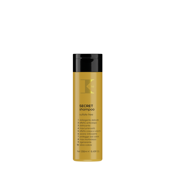 Secret Champô Multi Ação x10 250ml
